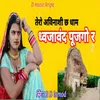 About Teri Avinashi Ch Dham Dwjavand Pujgo Re Song